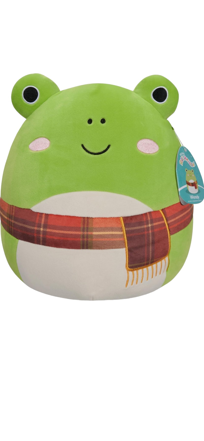 💥NEW💥Squishmallow 12” Wendy The Frog With Scarf